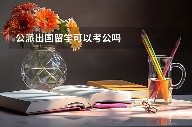 公派出国留学可以考公吗