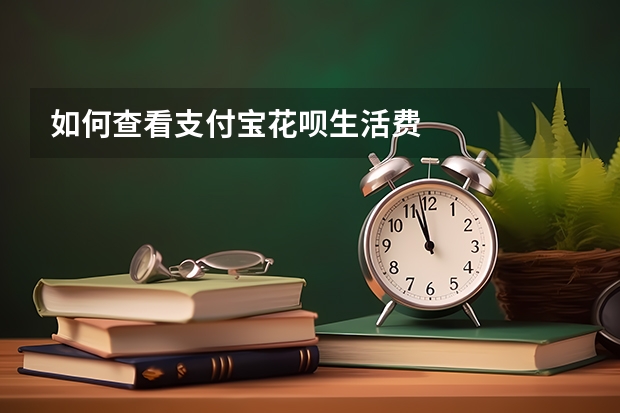 如何查看支付宝花呗生活费