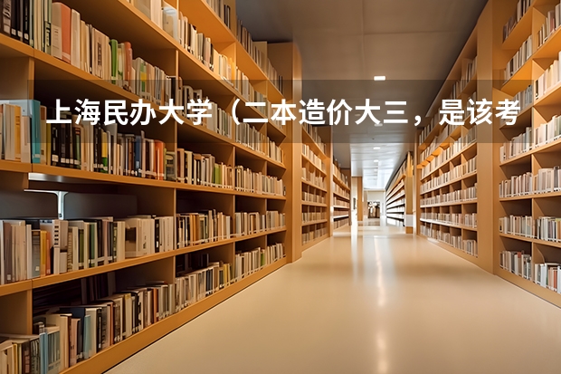 上海民办大学（二本造价大三，是该考研还是考公）