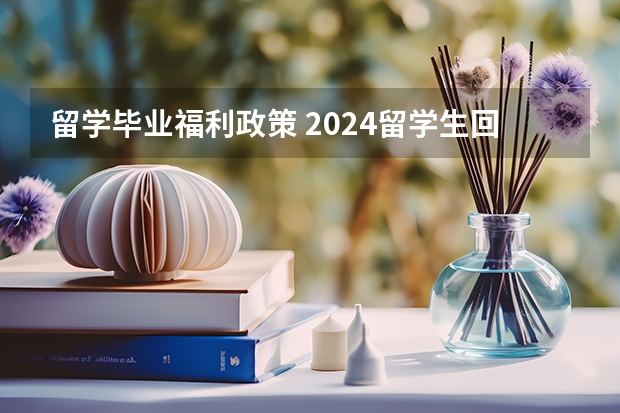 留学毕业福利政策 2024留学生回国福利政策