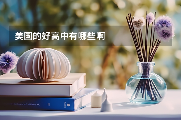 美国的好高中有哪些啊