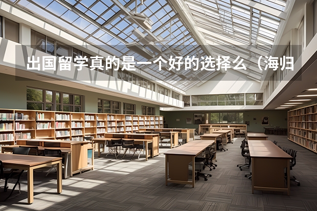 出国留学真的是一个好的选择么(海归应聘工作的王牌永远是工作能力 而不是留学生的身份)