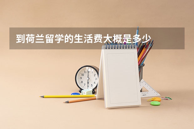 到荷兰留学的生活费大概是多少