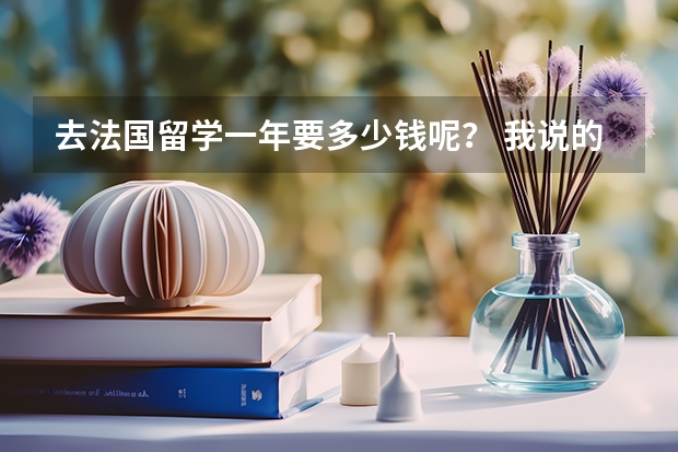 去法国留学一年要多少钱呢？ 我说的是人民币.