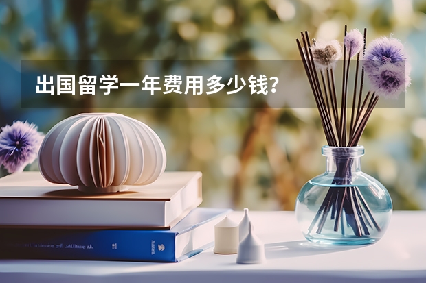 出国留学一年费用多少钱？