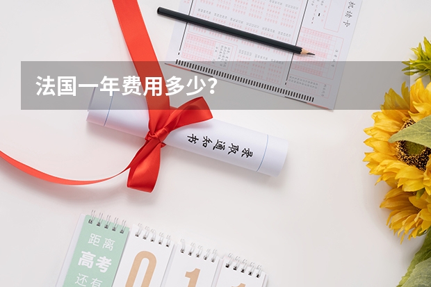 法国一年费用多少？