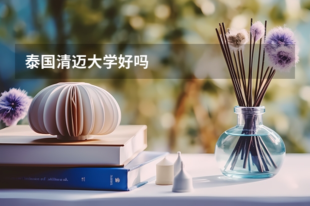 泰国清迈大学好吗