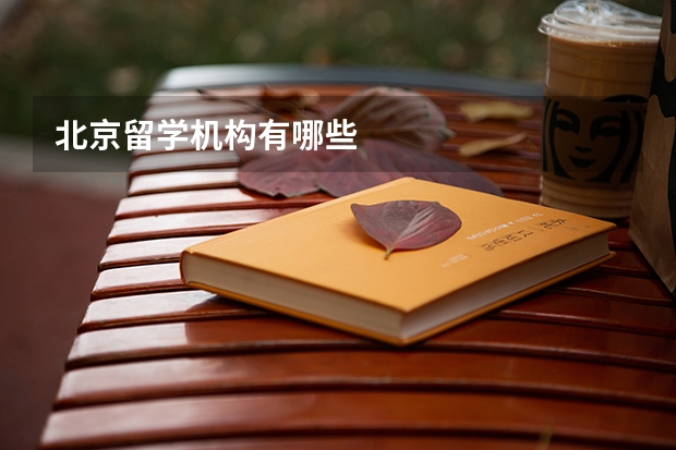 北京留学机构有哪些