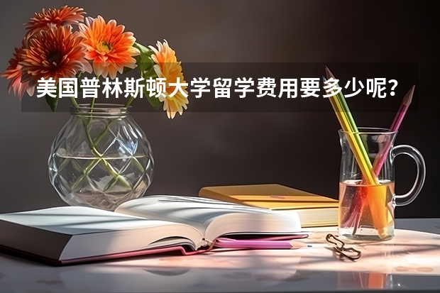 美国普林斯顿大学留学费用要多少呢？