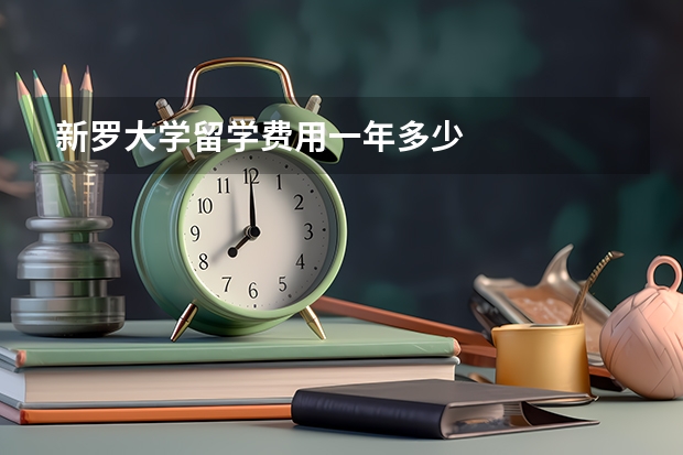 新罗大学留学费用一年多少