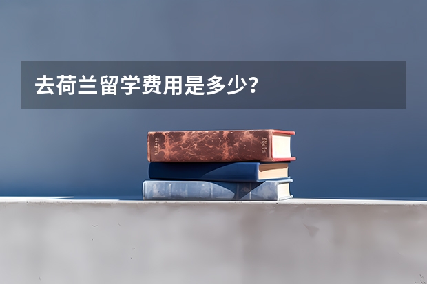 去荷兰留学费用是多少？