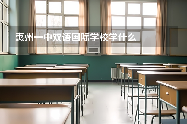 惠州一中双语国际学校学什么