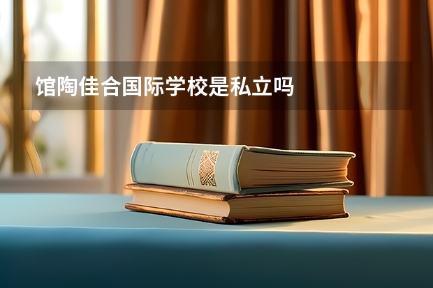 馆陶佳合国际学校是私立吗