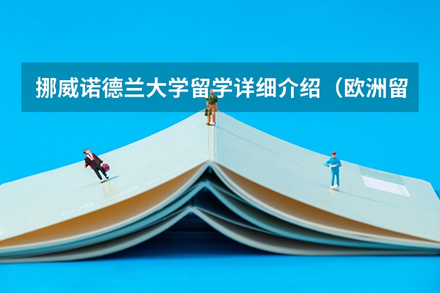 挪威诺德兰大学留学详细介绍（欧洲留学 挪威管理学院的最详介绍）
