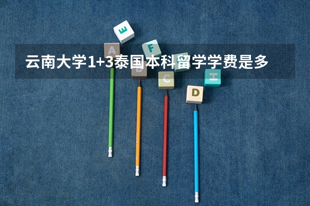 云南大学1+3泰国本科留学学费是多少？