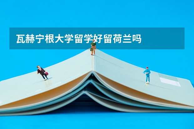 瓦赫宁根大学留学好留荷兰吗