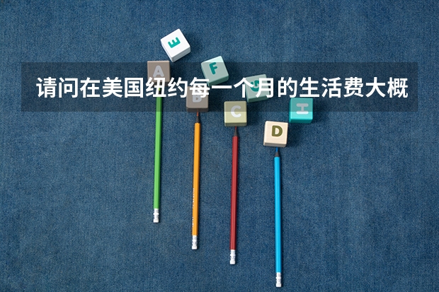请问在美国纽约每一个月的生活费大概是多少？