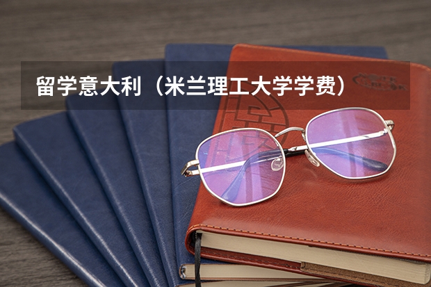 留学意大利（米兰理工大学学费）