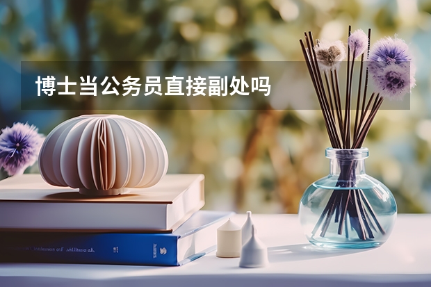 博士当公务员直接副处吗