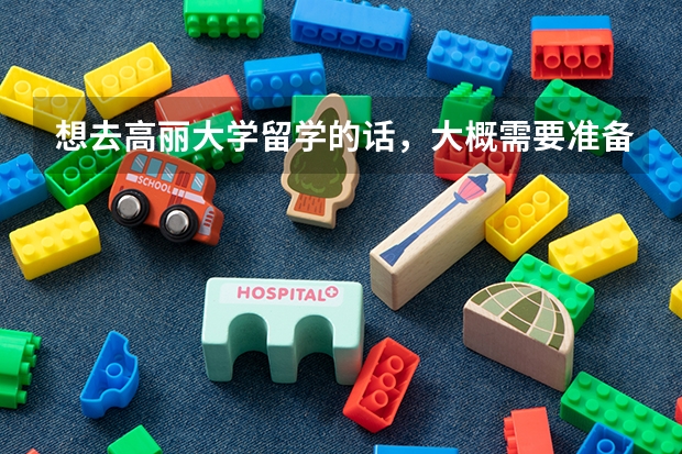 想去高丽大学留学的话，大概需要准备多少钱