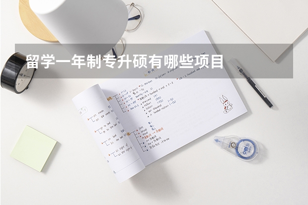 留学一年制专升硕有哪些项目