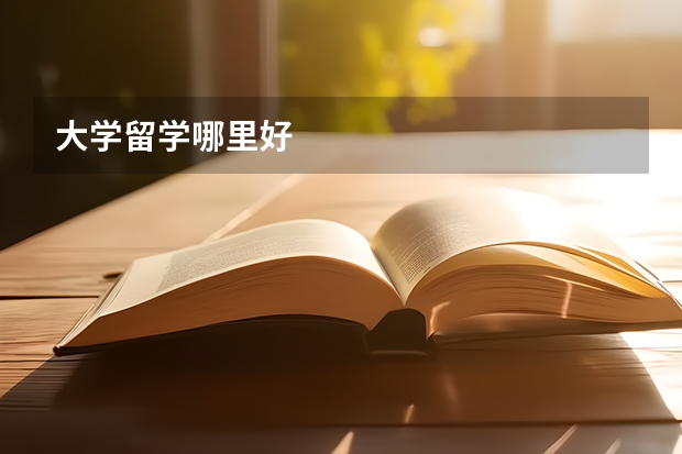 大学留学哪里好