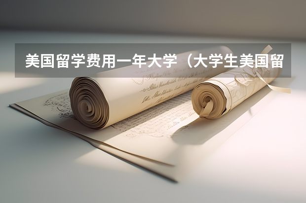 美国留学费用一年大学（大学生美国留学费用）