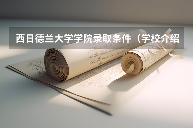 西日德兰大学学院录取条件（学校介绍）