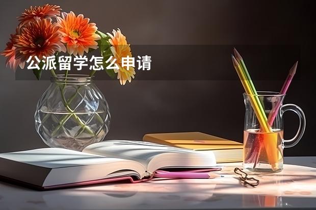 公派留学怎么申请