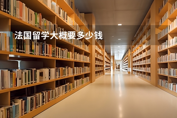 法国留学大概要多少钱