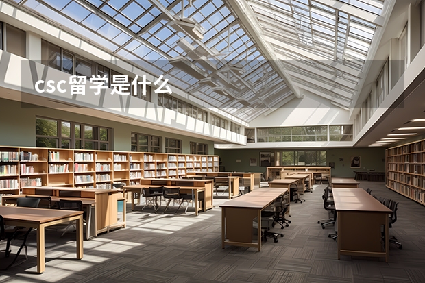 csc留学是什么