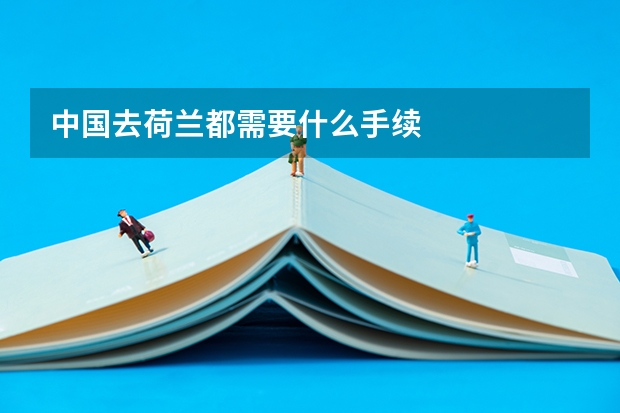 中国去荷兰都需要什么手续