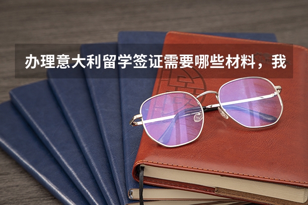 办理意大利留学签证需要哪些材料,我是沈阳的,我应该去哪里办理签证?