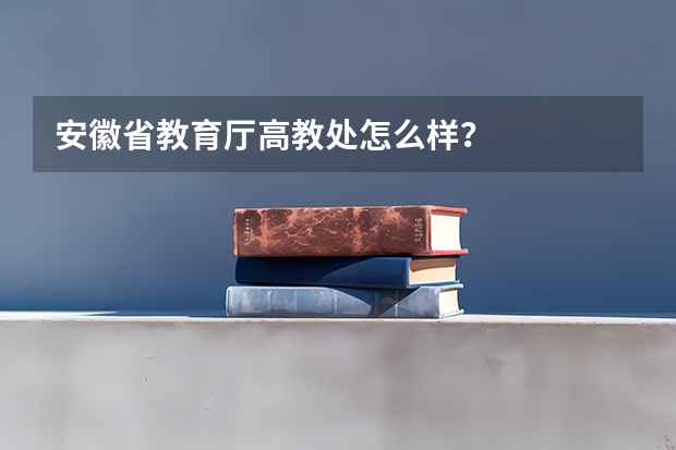 安徽省教育厅高教处怎么样？