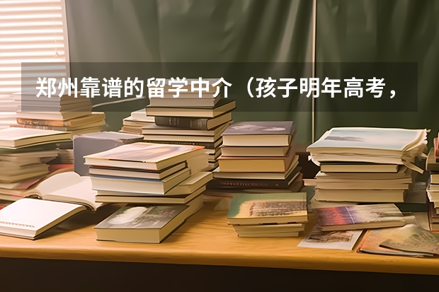 郑州靠谱的留学中介（孩子明年高考，新乡人，想送去韩国，郑州立思辰留学咋样？）