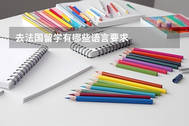 去法国留学有哪些语言要求