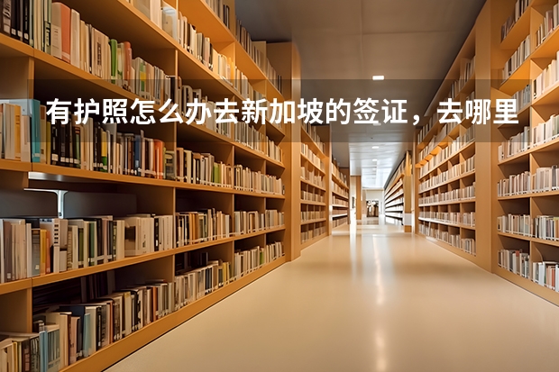 有护照怎么办去新加坡的签证，去哪里工作4个月左右