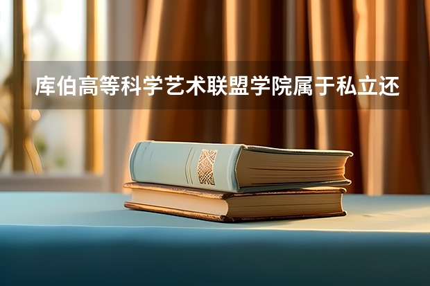 库伯高等科学艺术联盟学院属于私立还是公立学校 花费怎么样