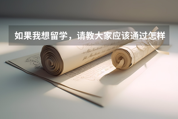 如果我想留学，请教大家应该通过怎样的途径来出国呢，去东欧国家怎么样呢？大家有什么好的建议呢！