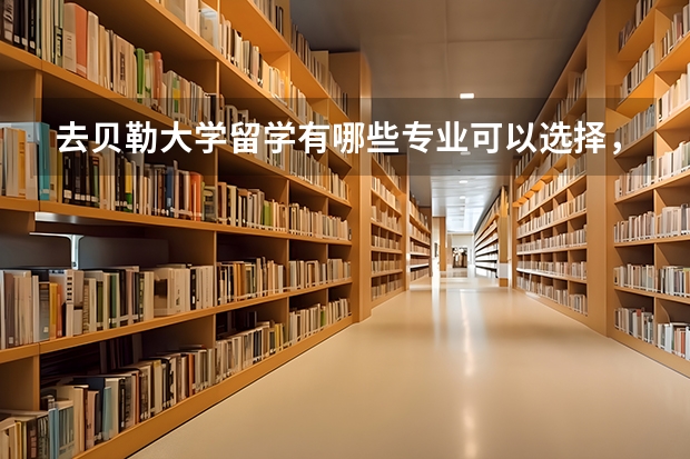 去贝勒大学留学有哪些专业可以选择，哪些是优势专业
