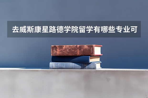 去威斯康星路德学院留学有哪些专业可以选择，哪些是优势专业