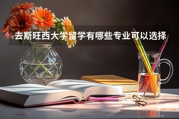 去斯旺西大学留学有哪些专业可以选择，哪些是优势专业