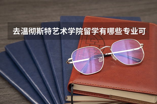 去温彻斯特艺术学院留学有哪些专业可以选择，哪些是优势专业