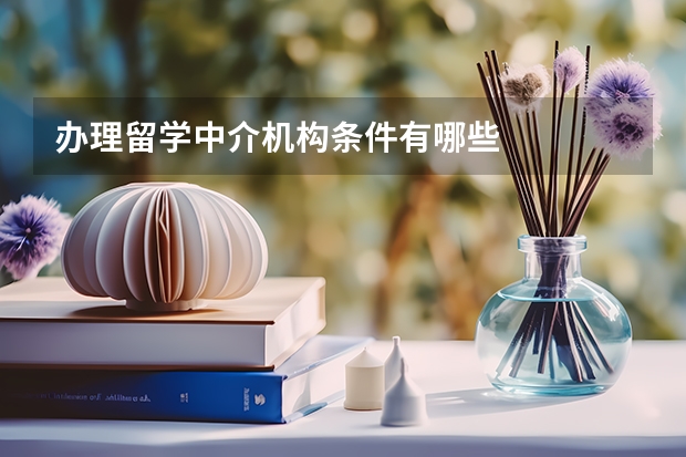 办理留学中介机构条件有哪些