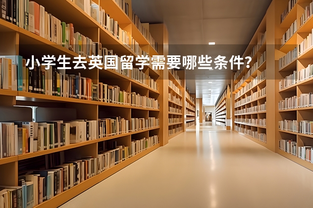 小学生去英国留学需要哪些条件?