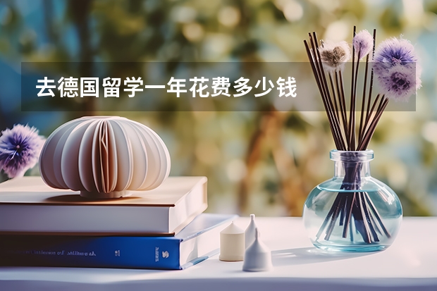 去德国留学一年花费多少钱