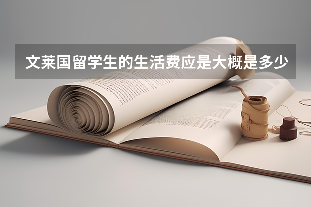 文莱国留学生的生活费应是大概是多少