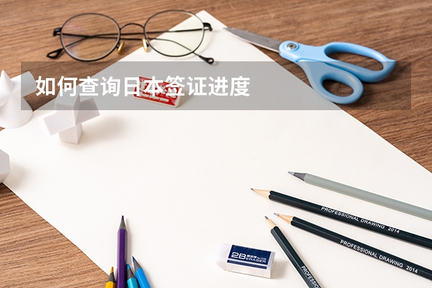 如何查询日本签证进度