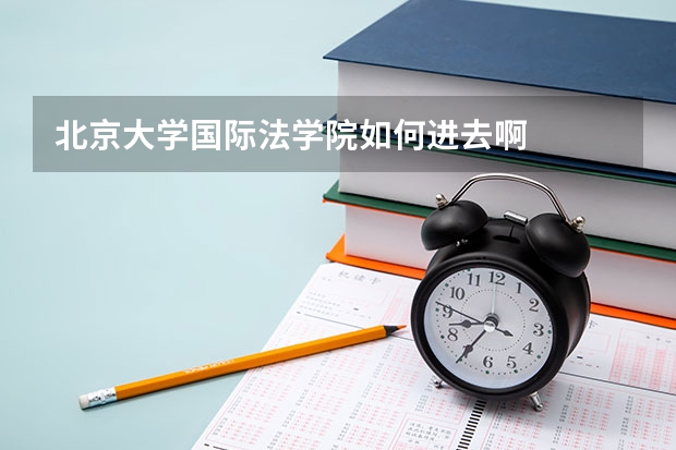 北京大学国际法学院如何进去啊