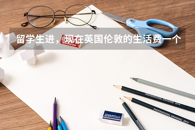 留学生进,现在英国伦敦的生活费一个月要多少钱?